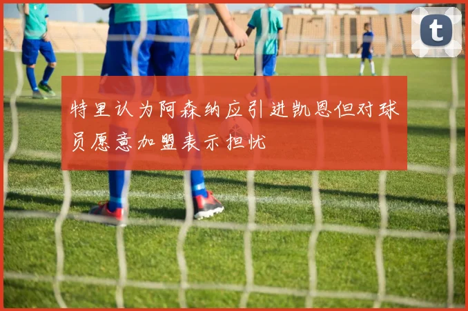 特里认为阿森纳应引进凯恩但对球员愿意加盟表示担忧